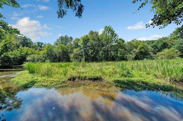 view of water feature featuring a wooded view