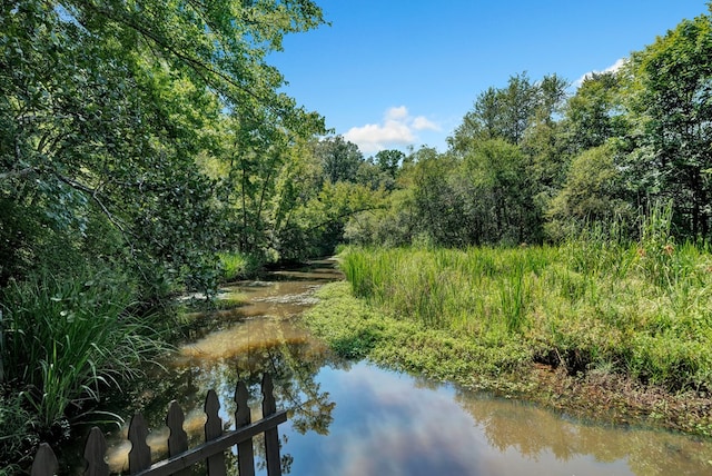 water view with a view of trees