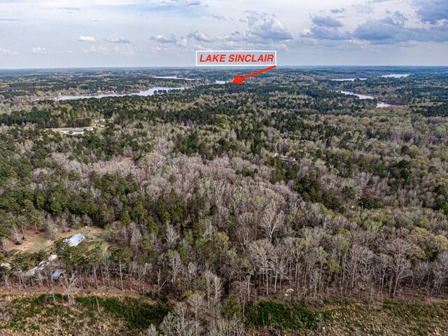 LOT2 Old Copelan Rd, Eatonton, GA 31024 - photo 3