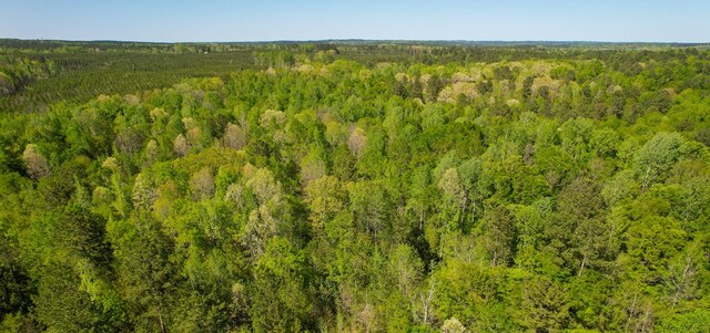 LOT2 Old Copelan Rd, Eatonton, GA 31024 - photo 4
