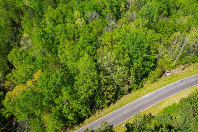 LOT2 Old Copelan Rd, Eatonton, GA 31024 - photo 7