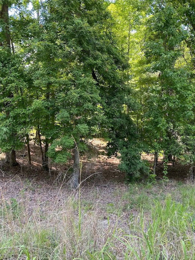 105 Miller Ct, Milledgeville, GA 31061 - photo 3