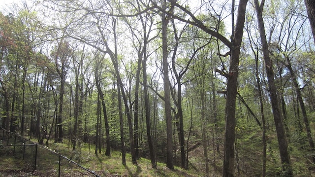 102 Treanor Dr, Milledgeville, GA 31061 - view of local wilderness with a view of trees