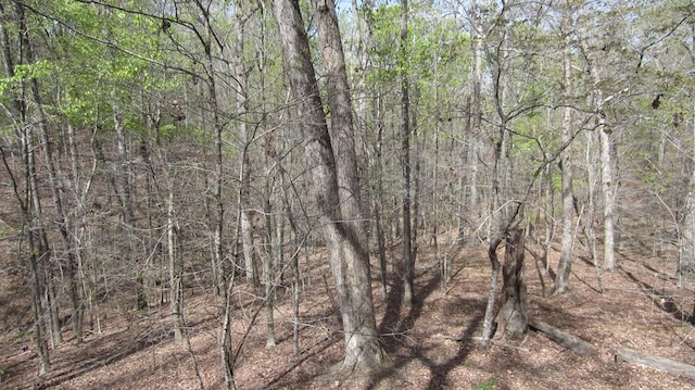 102 Treanor Dr, Milledgeville, GA 31061 - view of landscape featuring a wooded view