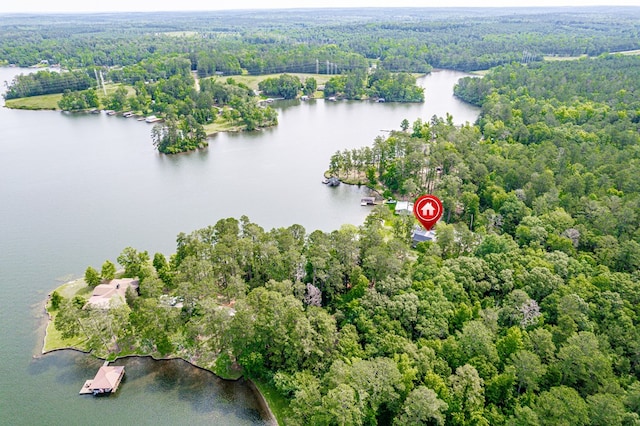 517 Hill Valley Rd, Sparta, GA 31087 - view of property location featuring a forest and a large body of water