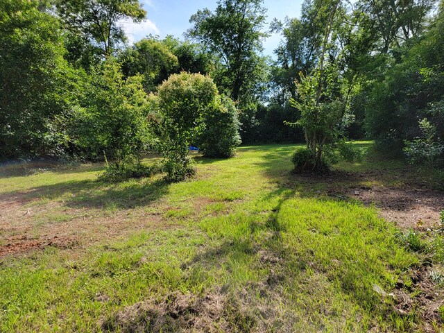 810 Jackson St, Milledgeville, GA 31061 - photo 3