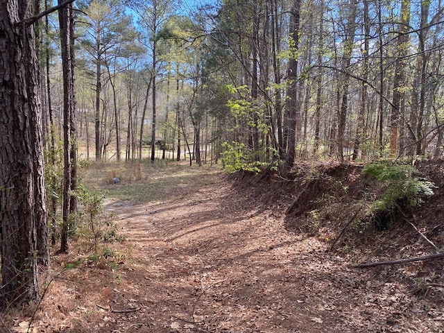 287 Bluegill Rd, Eatonton, GA 31204