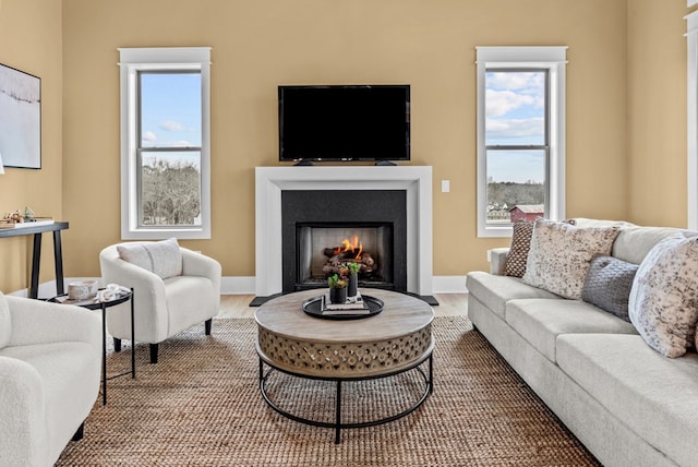 living room with hardwood / wood-style flooring