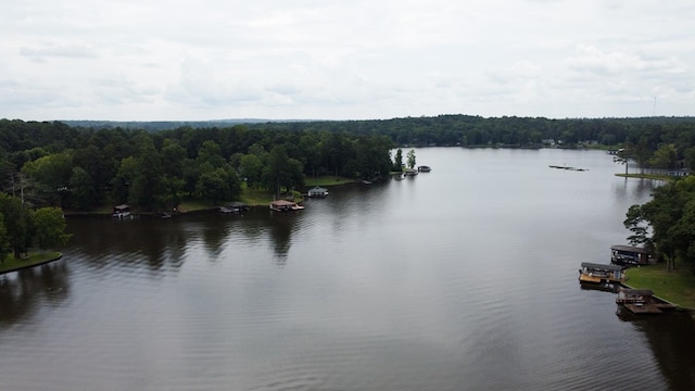 105 Flat Rock Cir, Eatonton, GA 31024 - photo 3