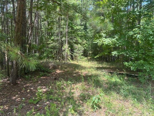 000 Edgewater, Eatonton, GA 31024 - photo 1