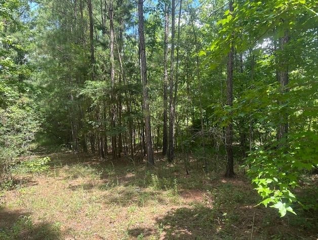 000 Edgewater, Eatonton, GA 31024 - photo 3