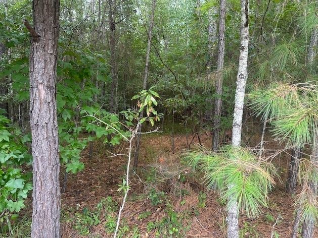 000 Edgewater, Eatonton, GA 31024 - photo 4
