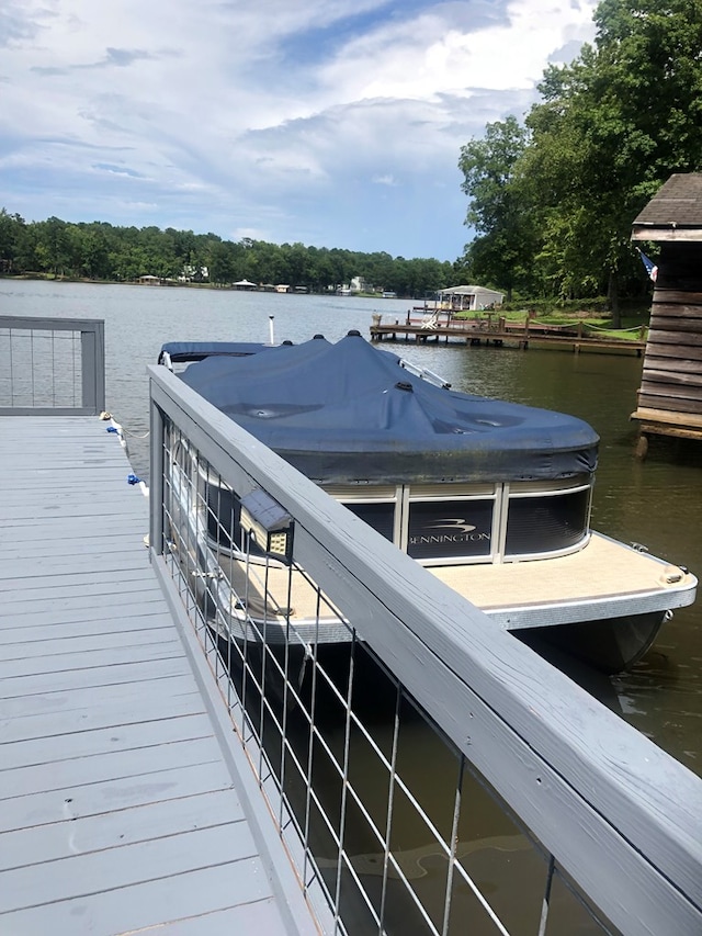 dock area with a water view