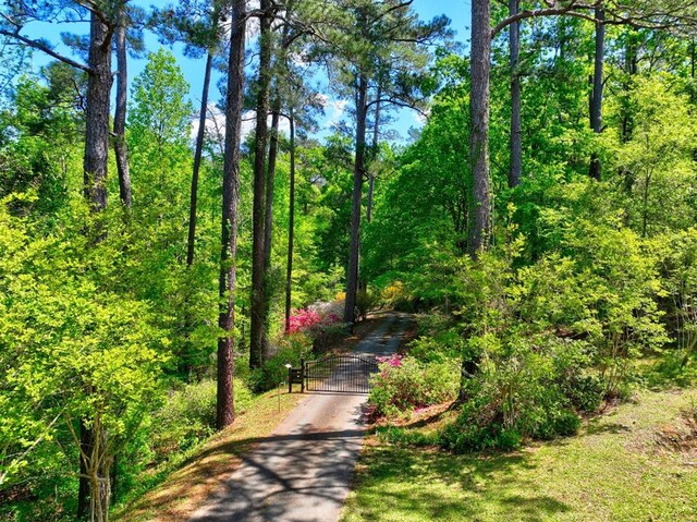 136 Kings Rd, Milledgeville, GA 31061 - view of community featuring a gate and a view of trees