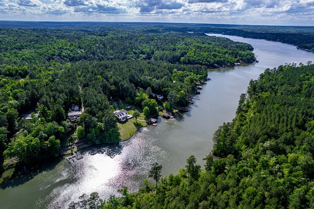 2122 Harbour Point Dr, Sparta, GA 31087 - bird's eye view of a heavily wooded area and a nearby body of water