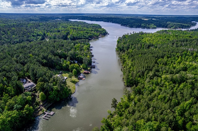 2122 Harbour Point Dr, Sparta, GA 31087 - aerial view of a forest and a large body of water