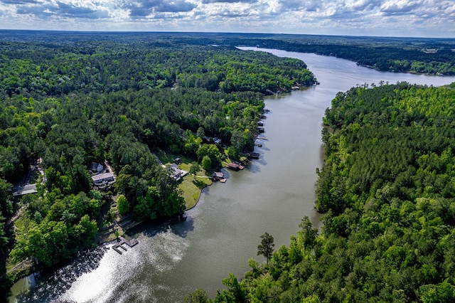 2122 Harbour Point Dr, Sparta, GA 31087 - bird's eye view of a forest and a nearby body of water