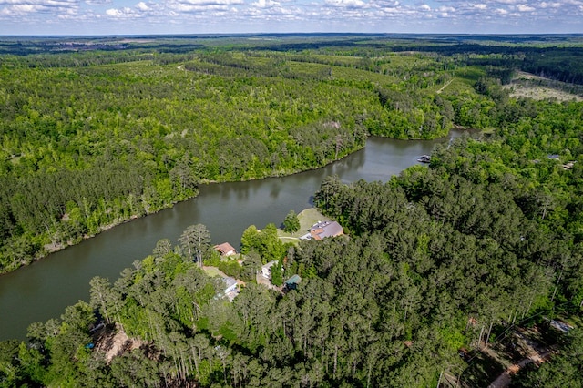 2122 Harbour Point Dr, Sparta, GA 31087 - aerial view of property's location featuring a forest and a nearby body of water