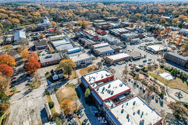 bird's eye view