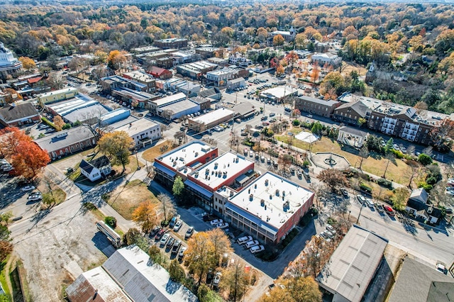 drone / aerial view