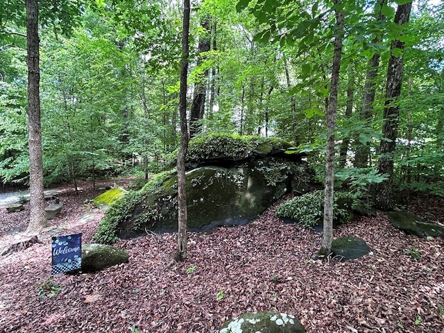 102 E Montego Ct, Milledgeville, GA 31061 - view of local wilderness