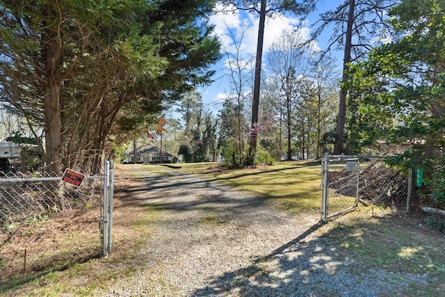 view of road with driveway and a gate