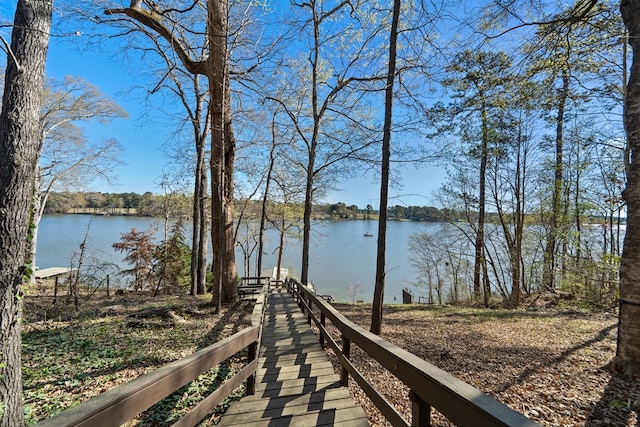 water view featuring a dock