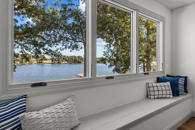 interior space featuring hardwood / wood-style floors, a healthy amount of sunlight, and a water view