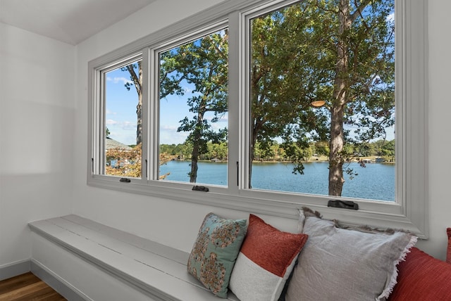 living area featuring wood-type flooring, a water view, and a healthy amount of sunlight