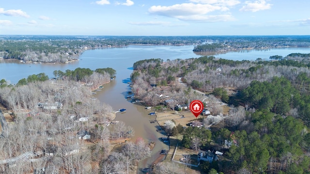 bird's eye view featuring a forest view and a water view