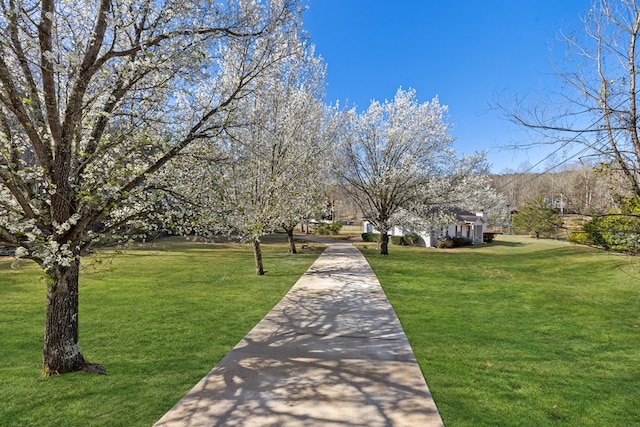 view of home's community with a yard