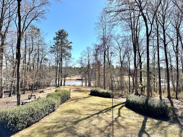 view of yard with a water view and a forest view