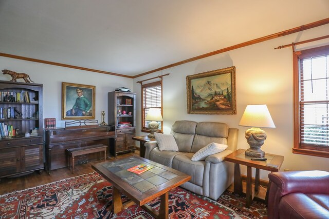 3715 Sinclair Dam Rd, Milledgeville, GA 31061 - living room featuring ornamental molding, a healthy amount of sunlight, and wood finished floors