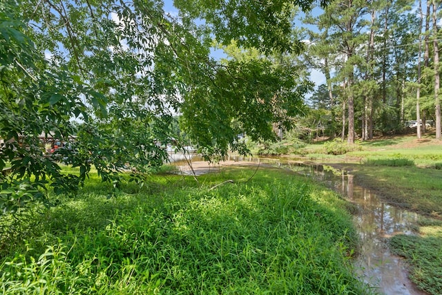 view of yard with a water view