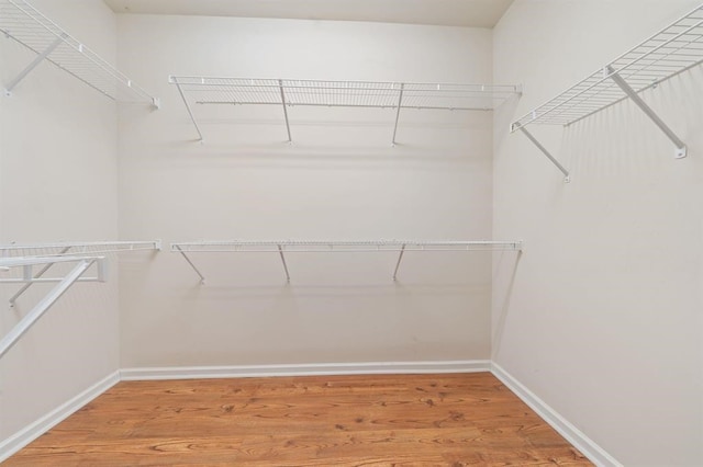 spacious closet featuring hardwood / wood-style floors