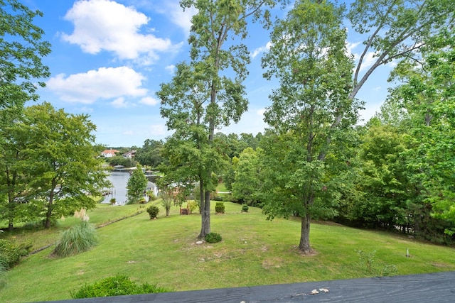 view of property's community featuring a lawn