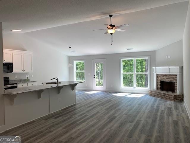 465 Riley Cir, Milledgeville, GA 31061 - unfurnished living room featuring vaulted ceiling, plenty of natural light, ceiling fan, and dark wood-style flooring