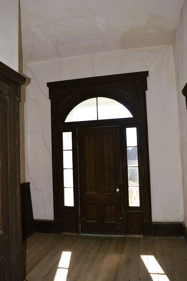 foyer featuring wood-type flooring