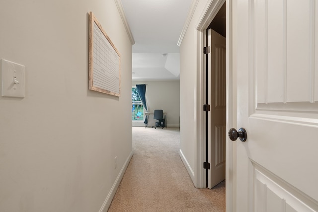 167 NW Old Plantation Trl, Milledgeville, GA 31061 - hall featuring light colored carpet, crown molding, and an office area