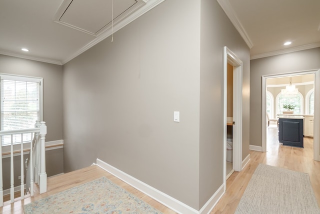 hallway with light hardwood / wood-style floors and ornamental molding