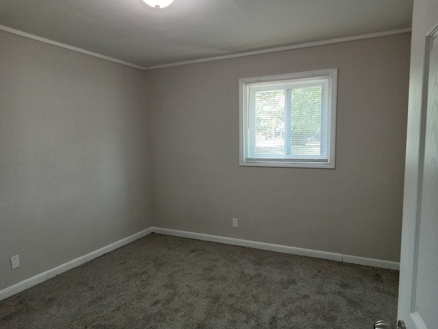 carpeted spare room featuring crown molding