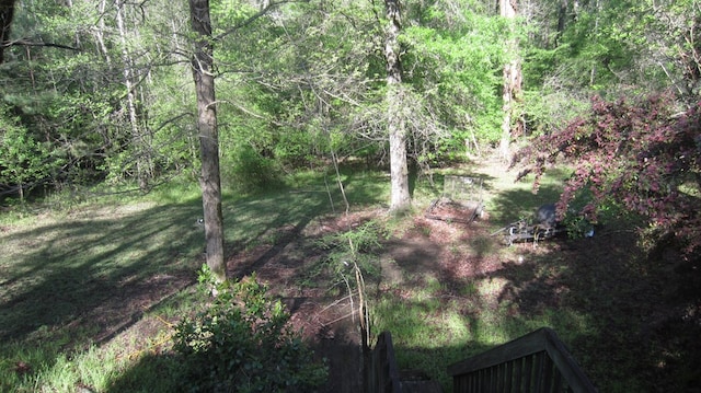 131 NE Carriage Ct, Milledgeville, GA 31061 - view of local wilderness featuring a wooded view