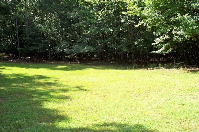 121 Long Island Dr, Eatonton, GA 31024 - view of green lawn