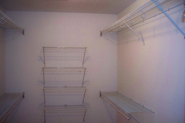 121 Long Island Dr, Eatonton, GA 31024 - view of spacious closet