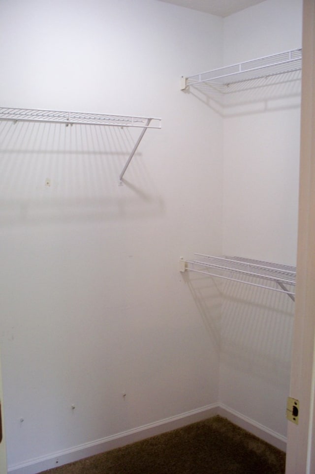 121 Long Island Dr, Eatonton, GA 31024 - view of spacious closet