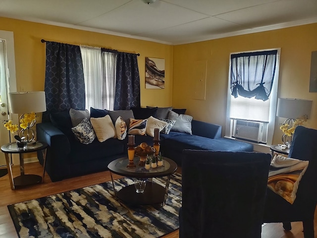 living room featuring crown molding and hardwood / wood-style flooring