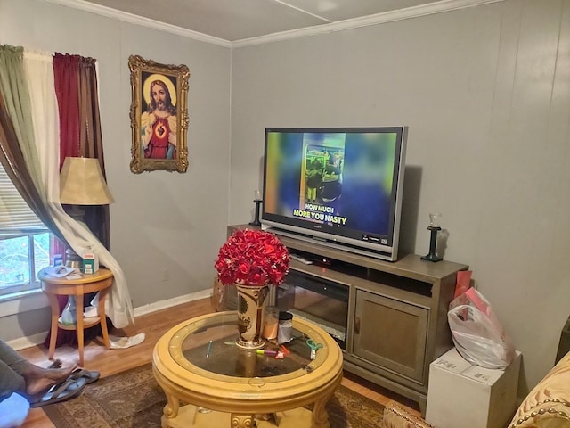 living room featuring hardwood / wood-style flooring and crown molding