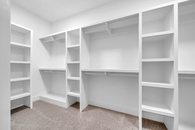 spacious closet featuring light carpet