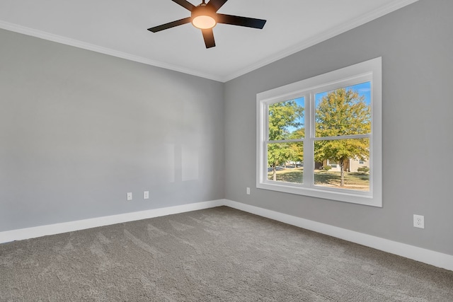 carpeted spare room with ceiling fan and ornamental molding