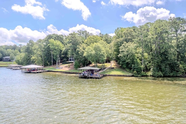74 Poplar Ct, Sparta, GA 31087 - photo 53